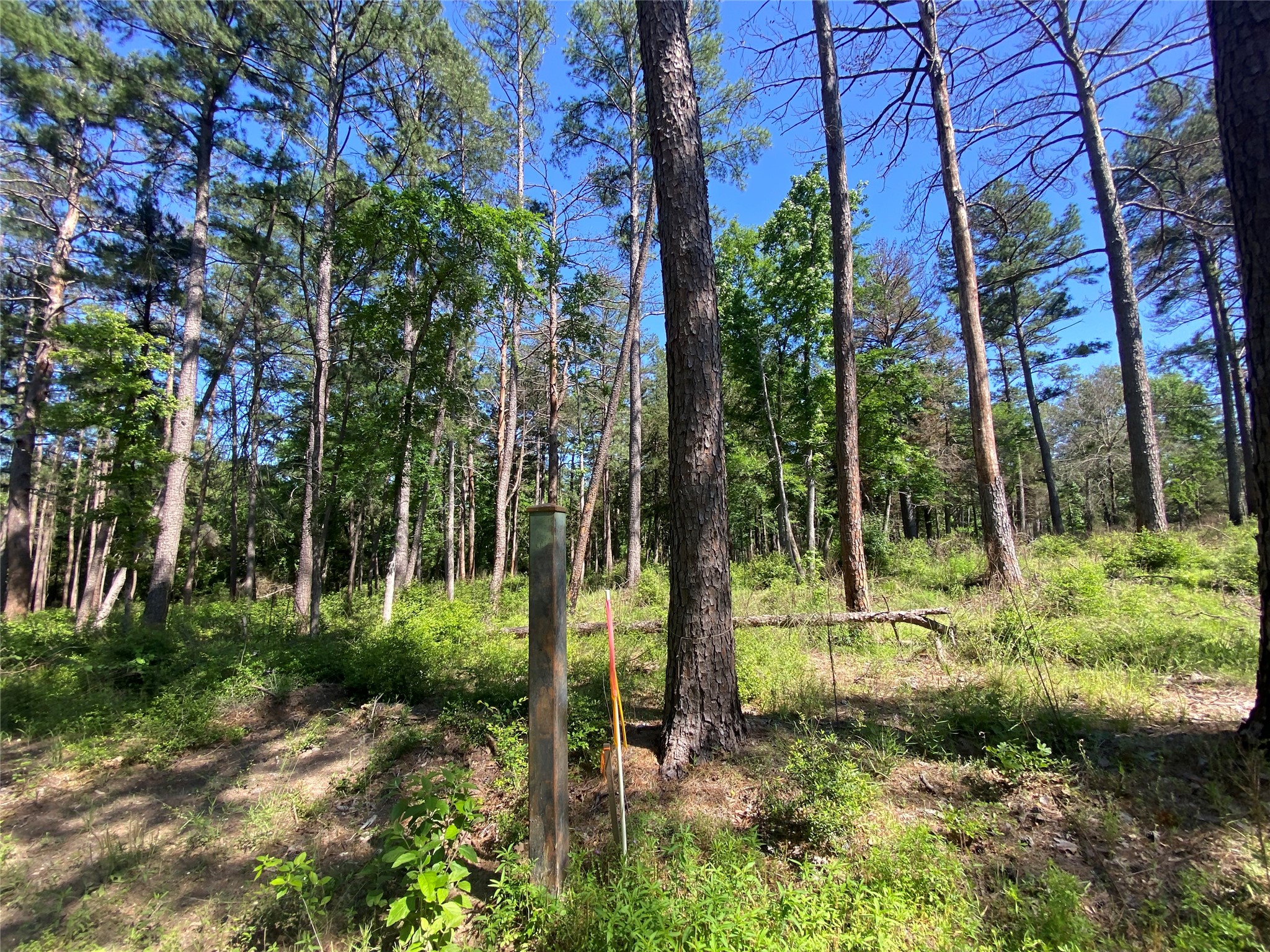 Lot 22 Pr 1313 Property Photo 31
