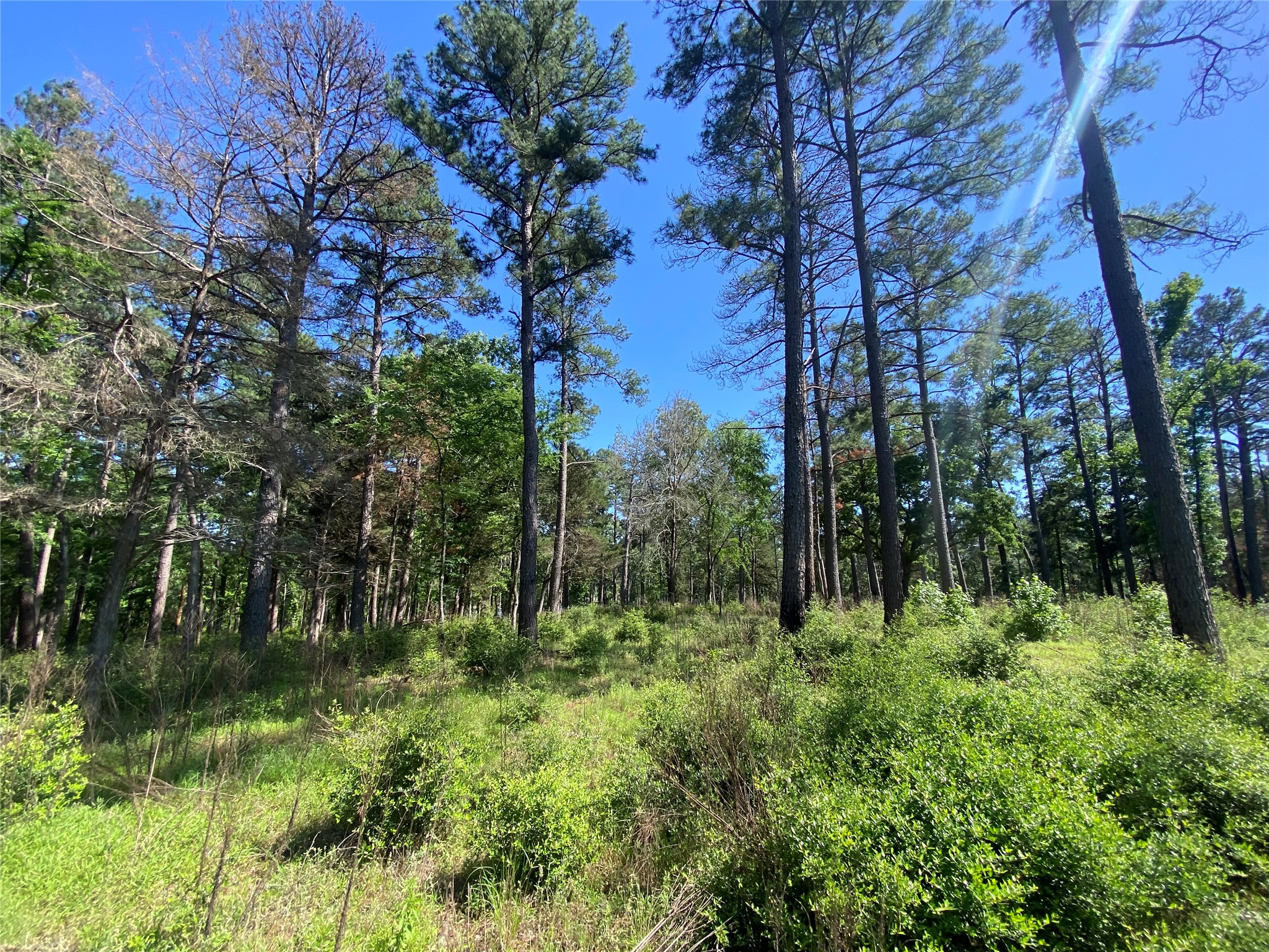 Lot 22 Pr 1313 Property Photo 32