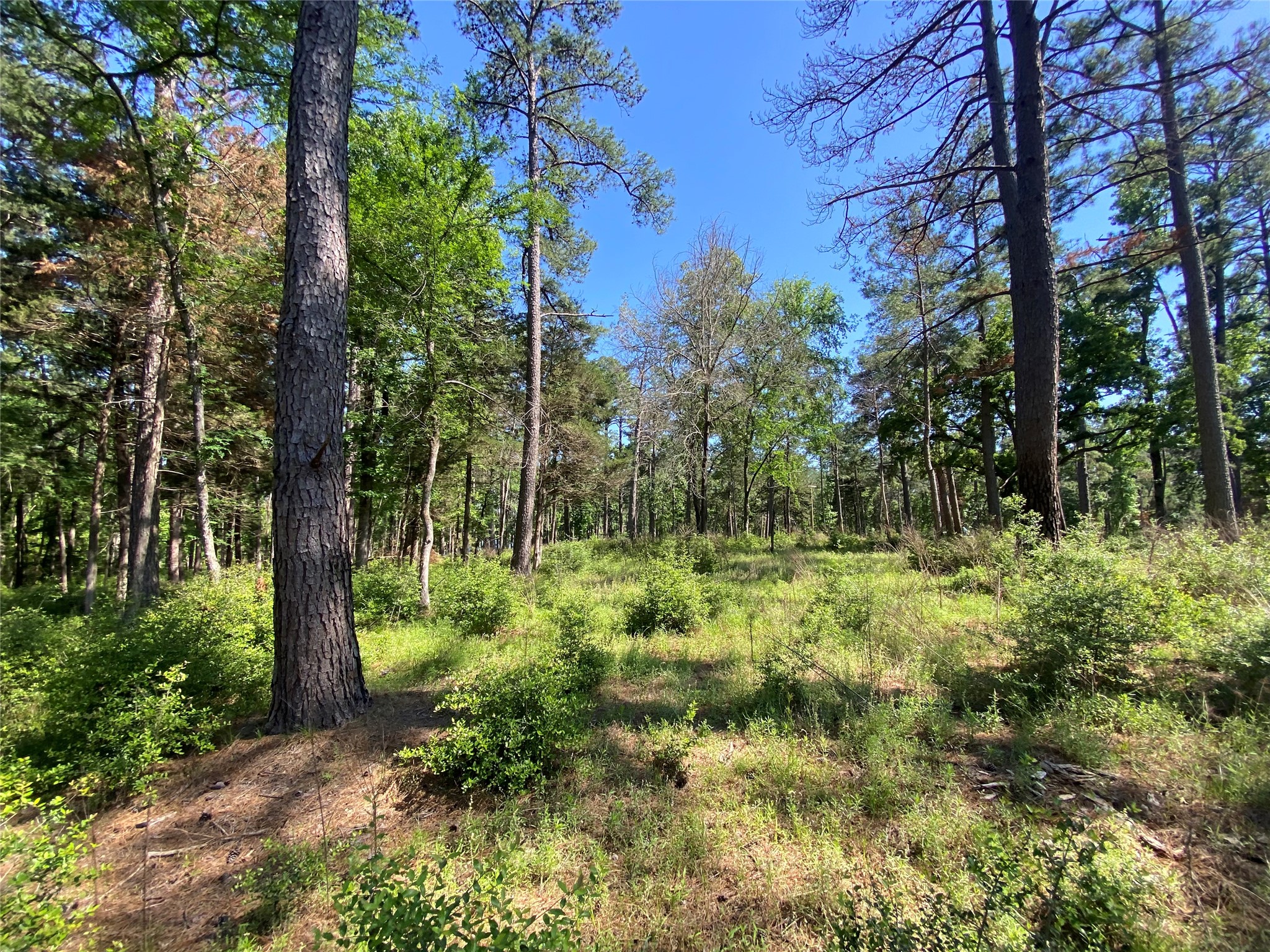 Lot 22 Pr 1313 Property Photo 33