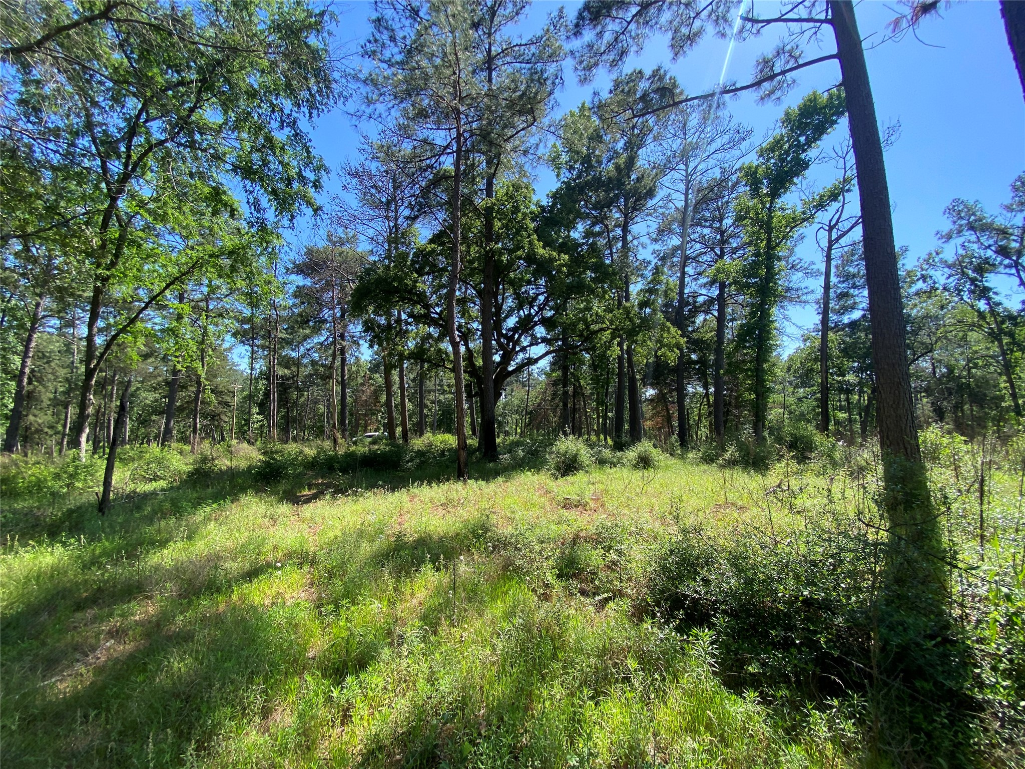 Lot 22 Pr 1313 Property Photo 34