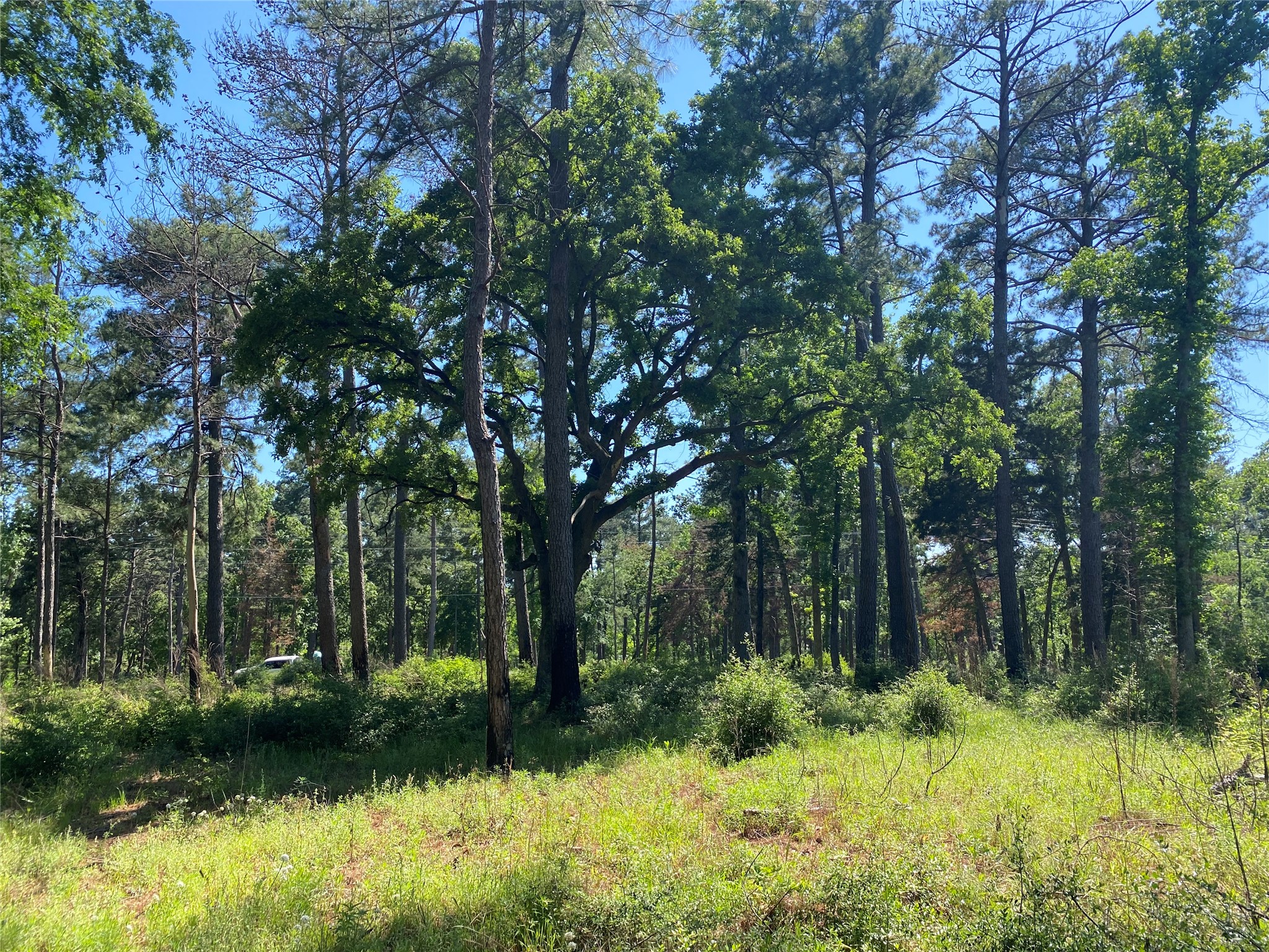 Lot 22 Pr 1313 Property Photo 35