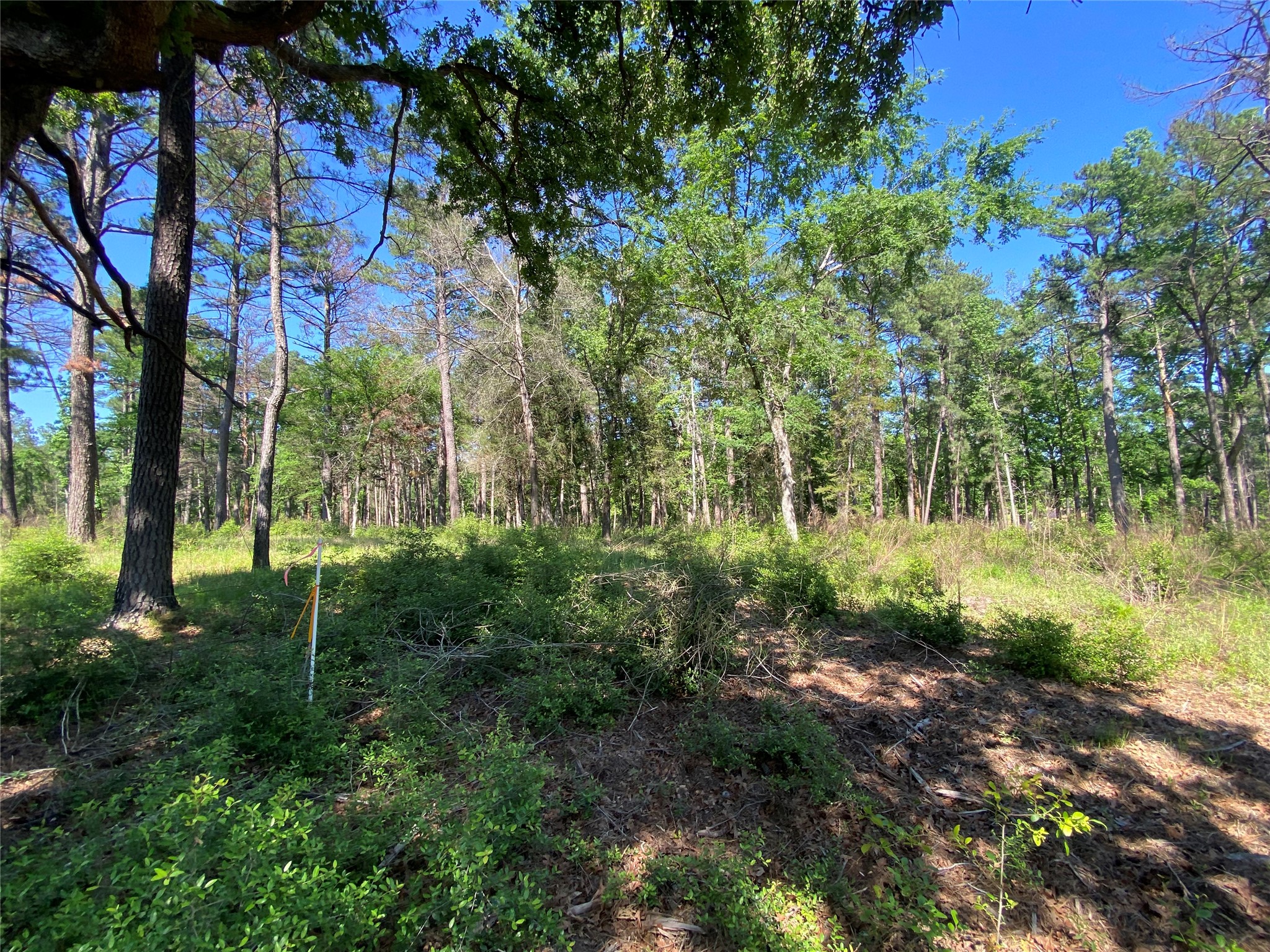 Lot 22 Pr 1313 Property Photo 37