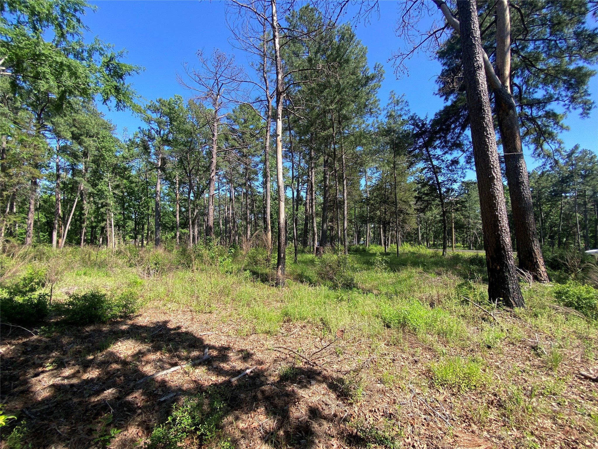 Lot 22 Pr 1313 Property Photo 38
