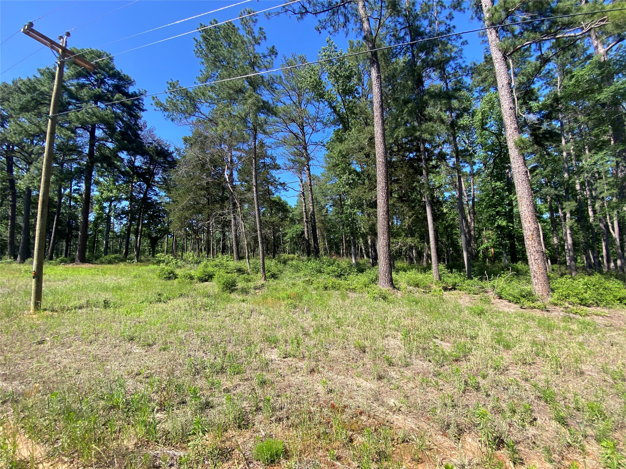 Lot 22 Pr 1313 Property Photo 41