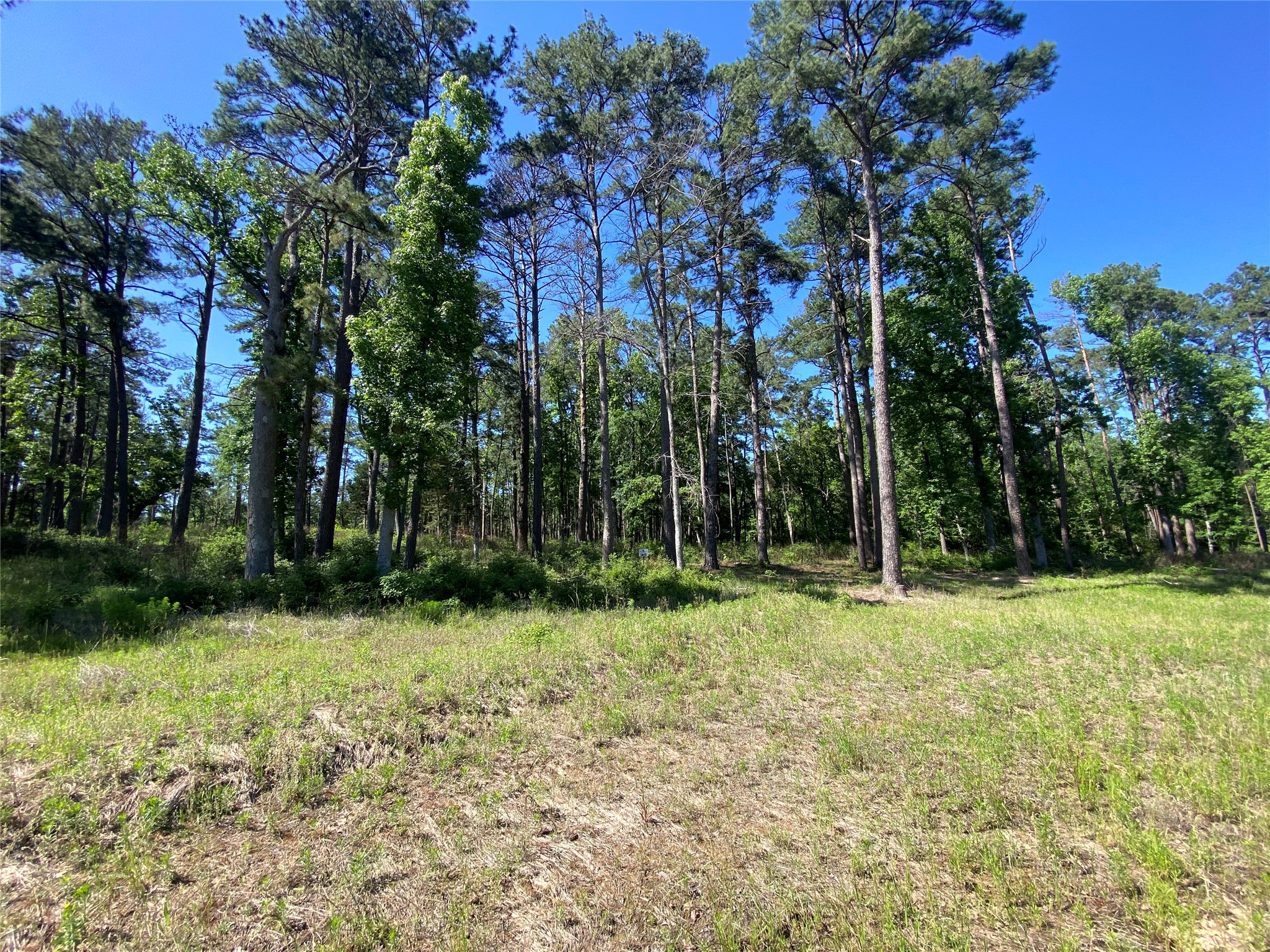 Lot 22 Pr 1313 Property Photo 42