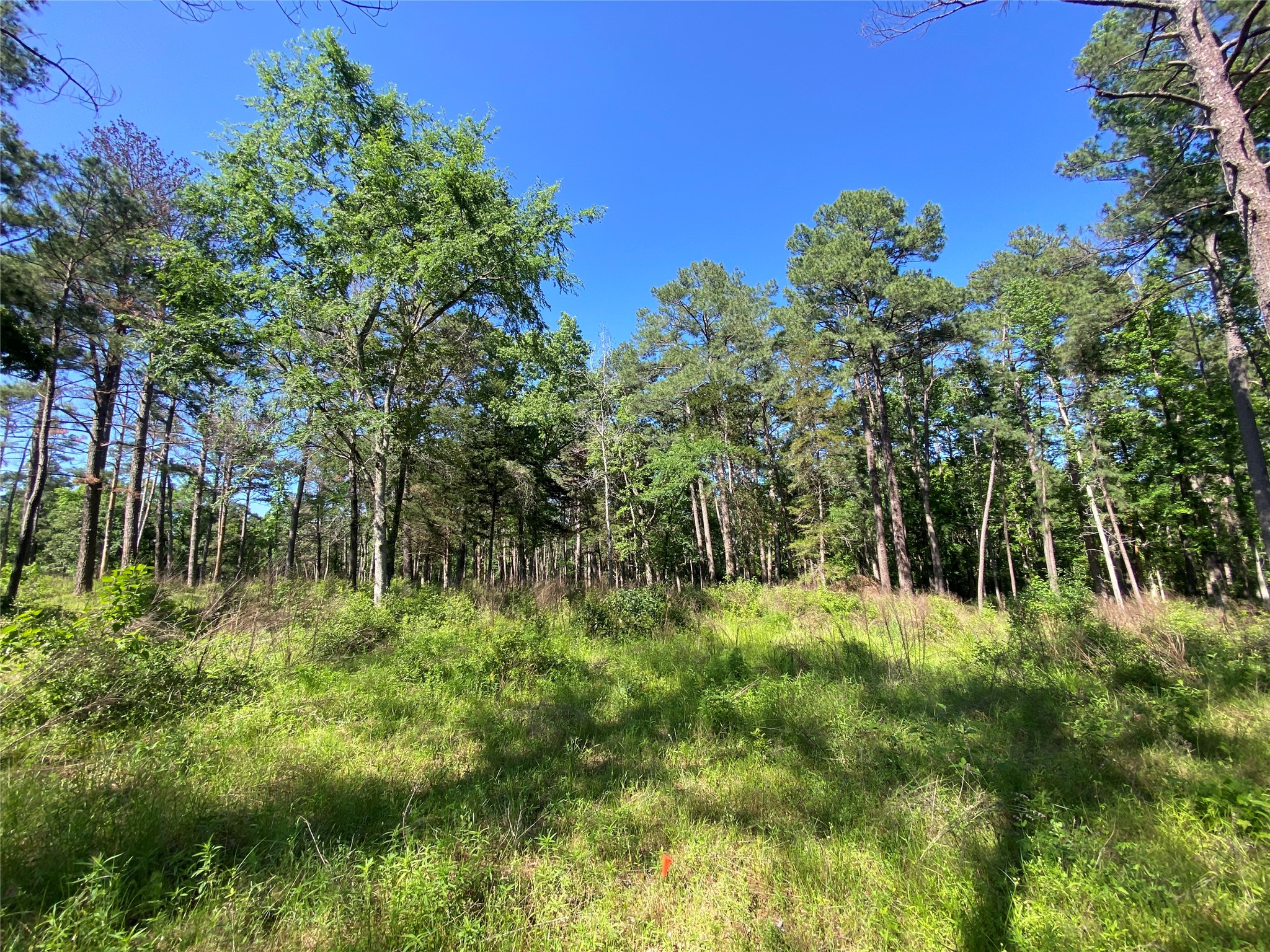 Lot 22 Pr 1313 Property Photo 43