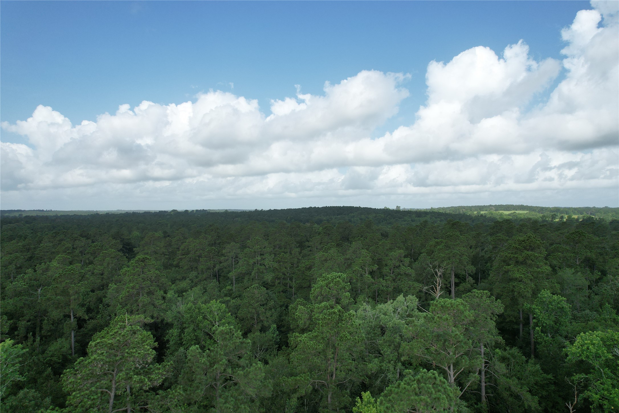 0000 Cr 4020 Property Photo 5