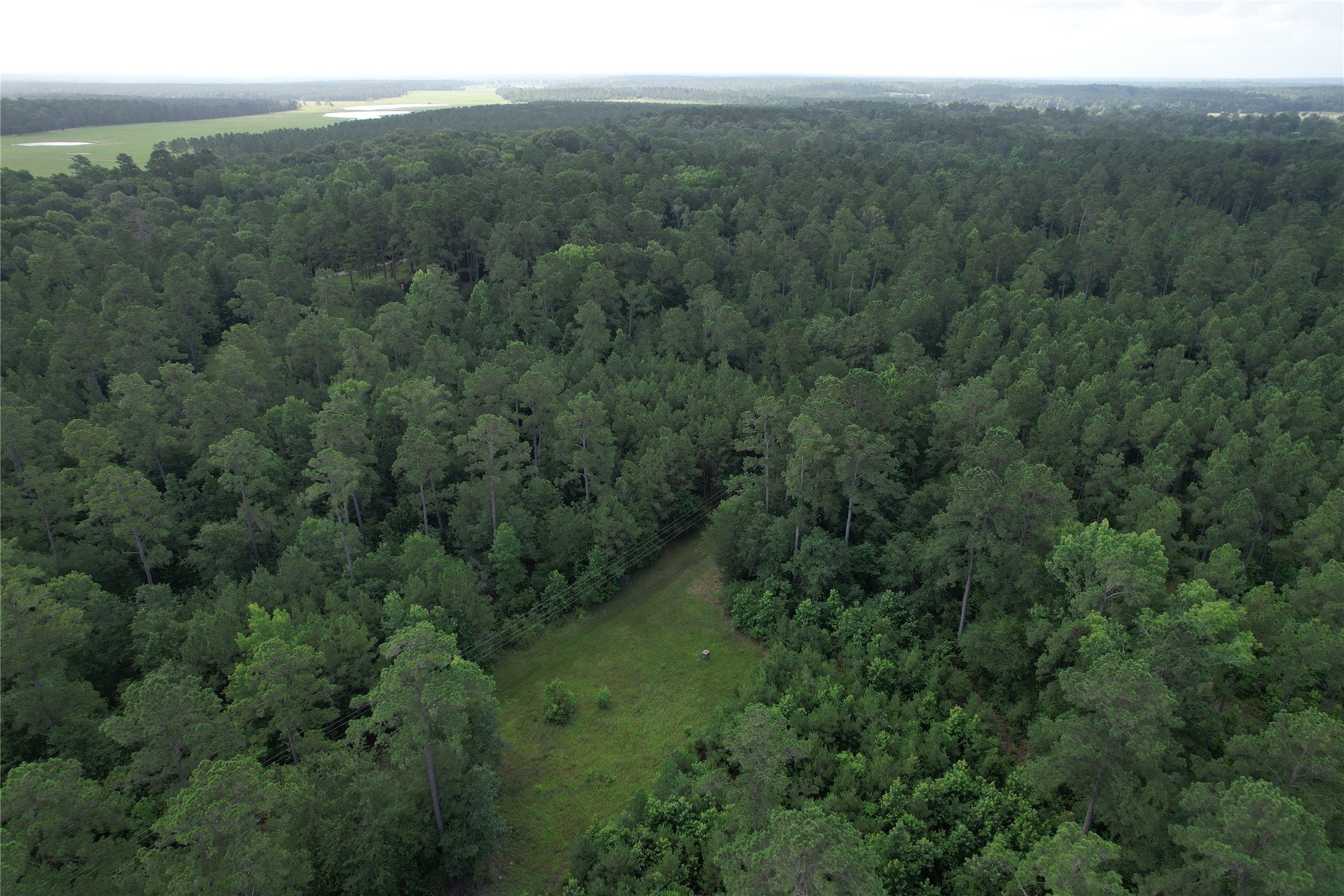 0000 Cr 4020 Property Photo 7