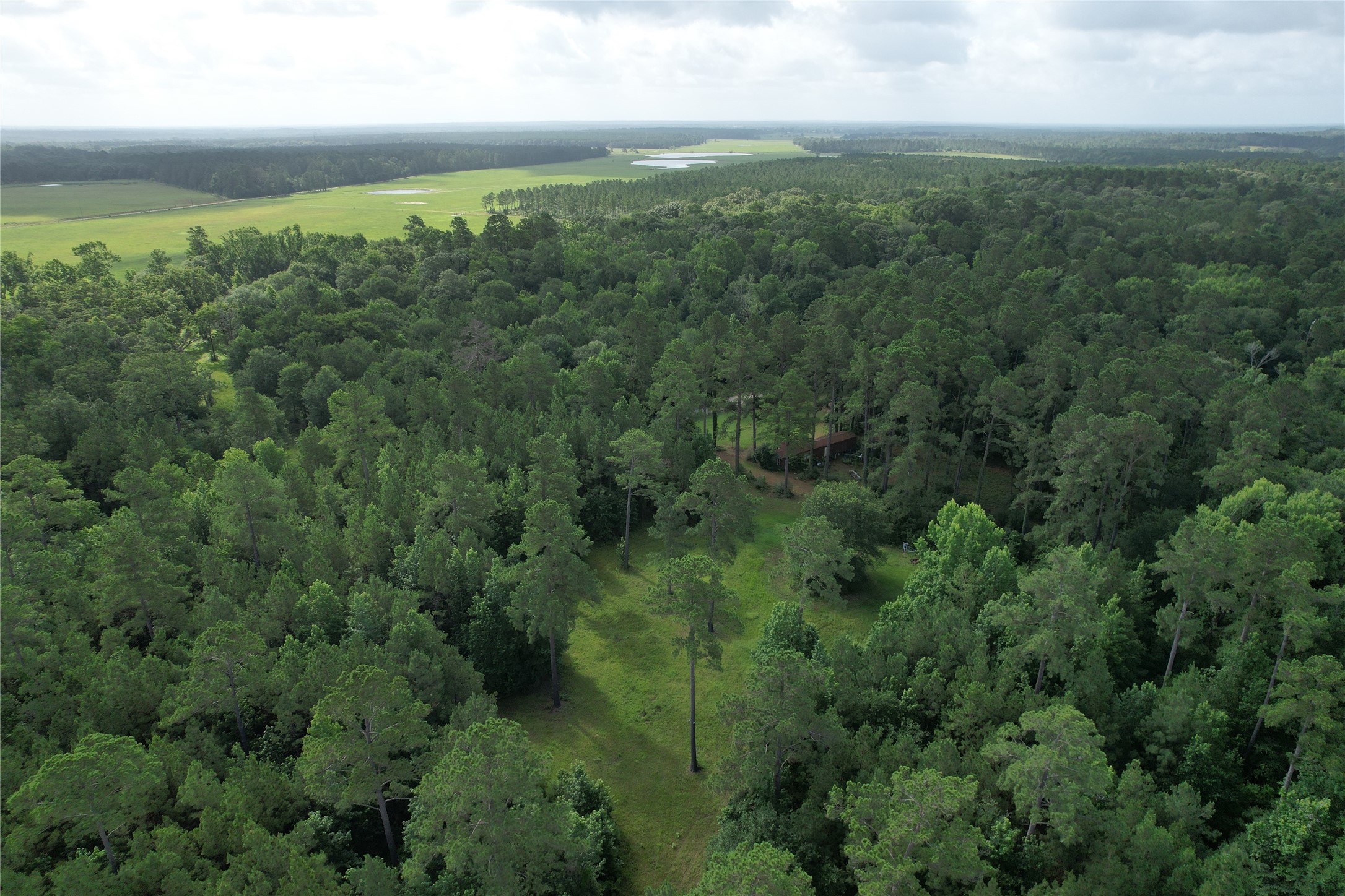 0000 Cr 4020 Property Photo 14