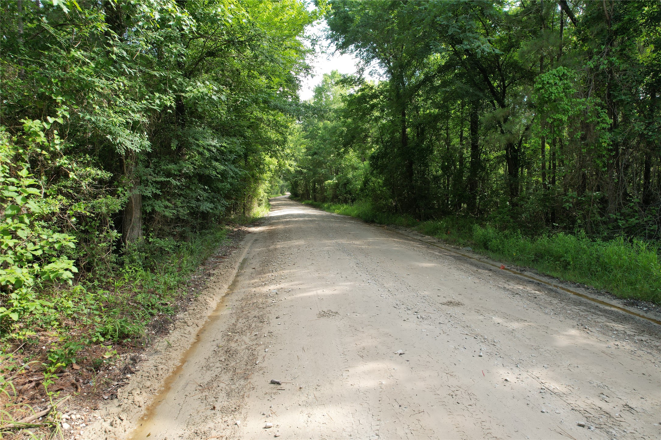 0000 Cr 4020 Property Photo 16