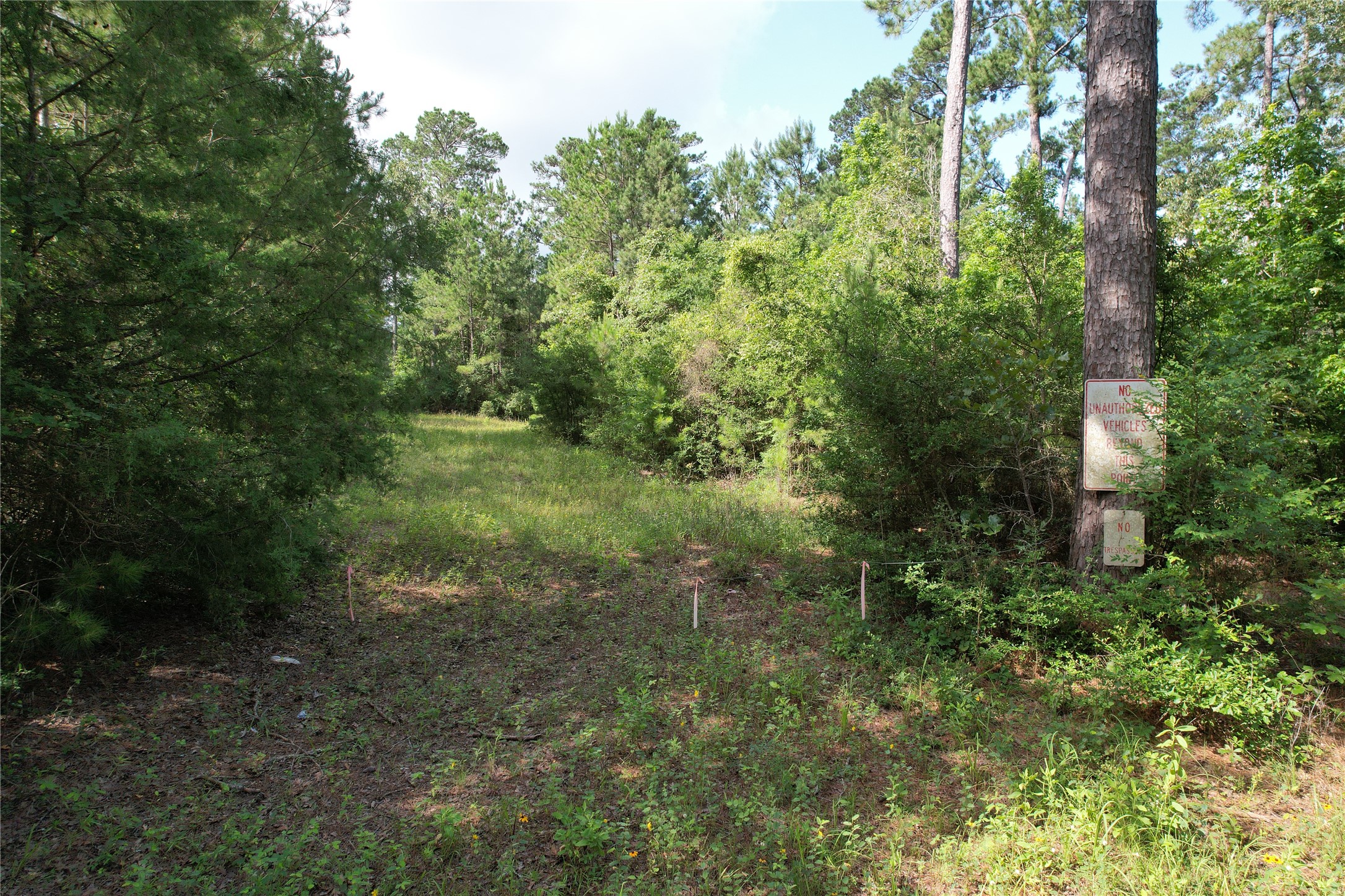 0000 Cr 4020 Property Photo 17