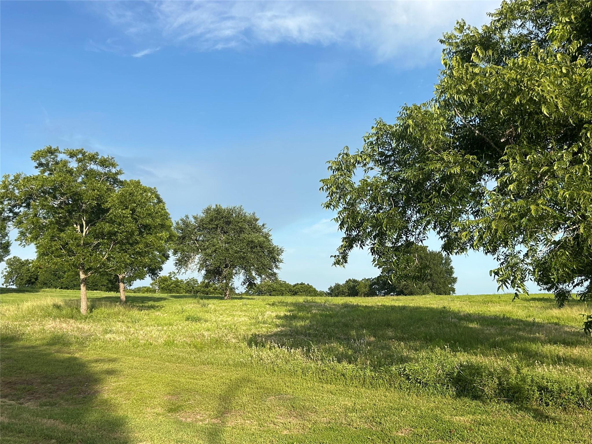 Tbd Sunshine Court Property Photo 6