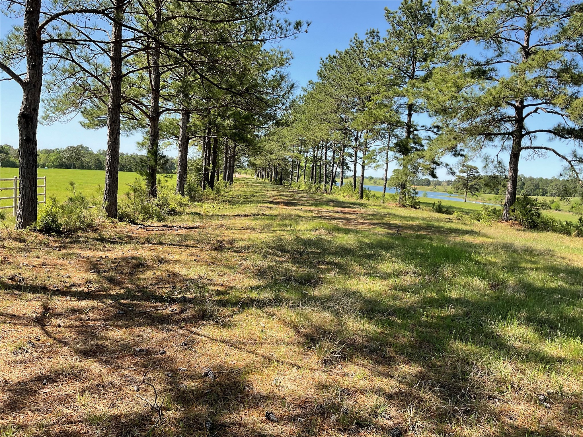 Lot 14 Lakeland Ranch Sec 1, Blk1, Lot 14 Property Photo 10