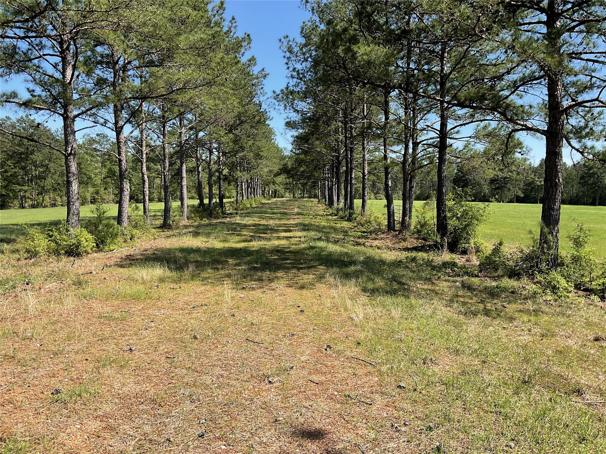 Lot 14 Lakeland Ranch Sec 1, Blk1, Lot 14 Property Photo 28