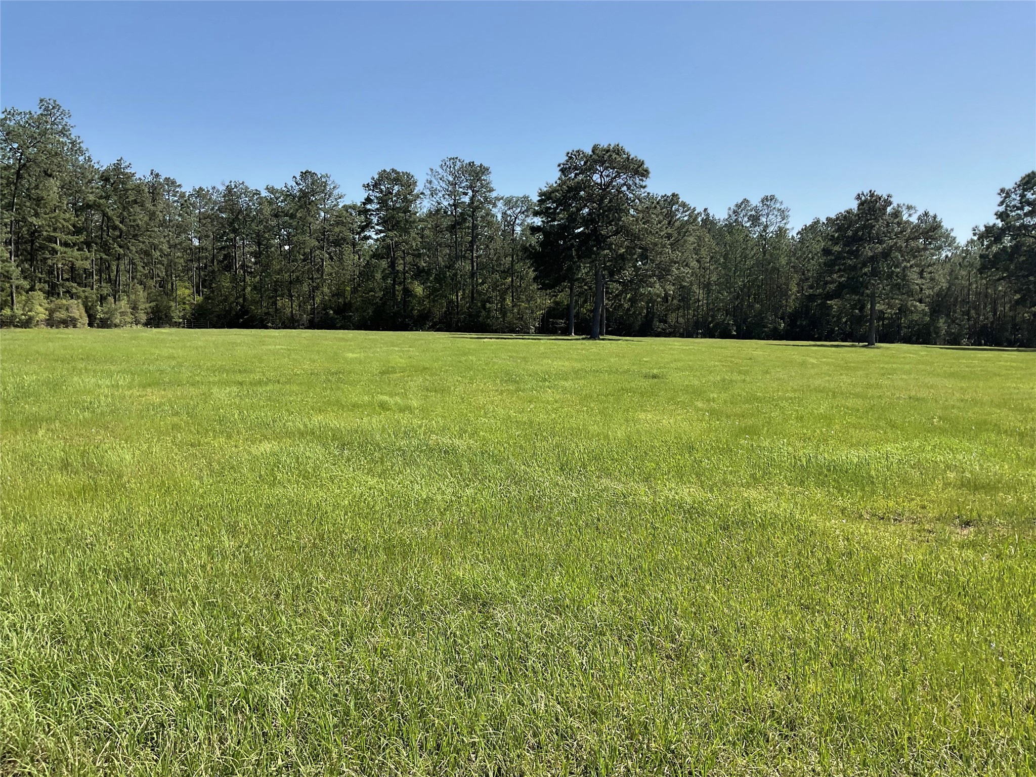 Lot 14 Lakeland Ranch Sec 1, Blk1, Lot 14 Property Photo 29