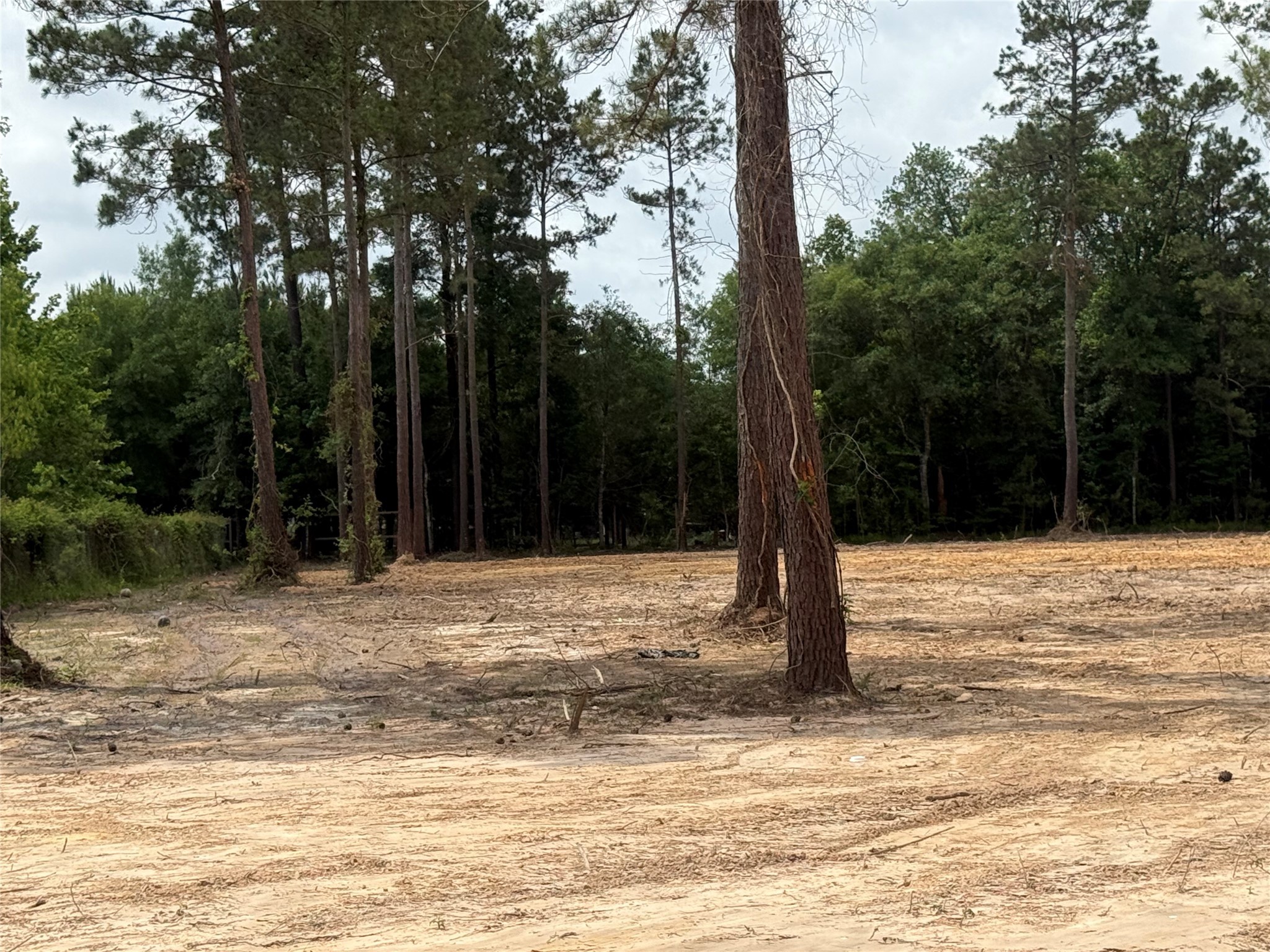 848 County Road 3679 J Property Photo 3