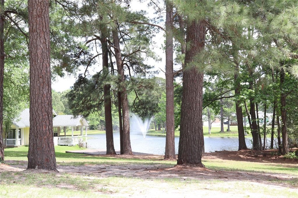 406 Noel Property Photo 43