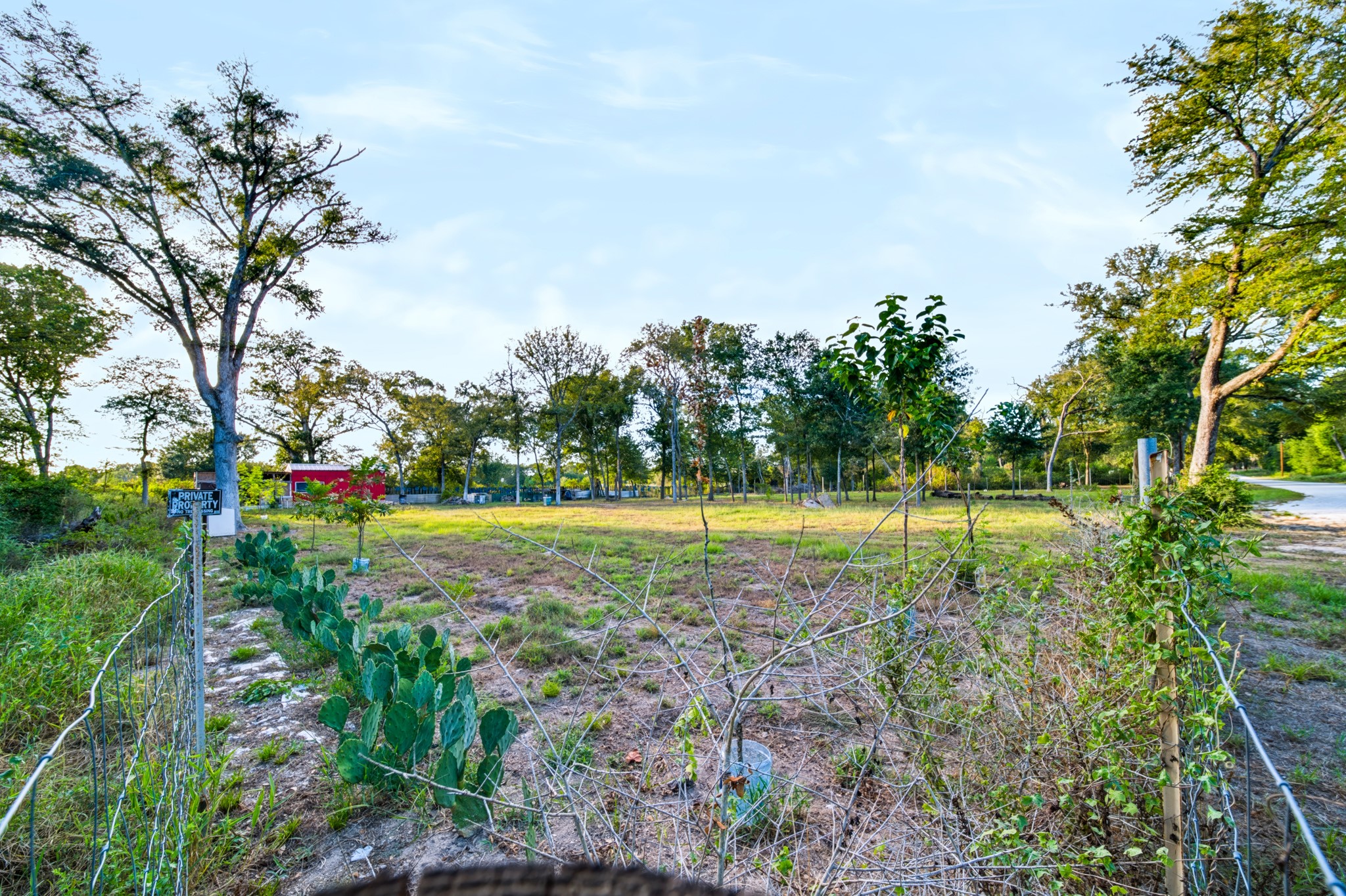 25044 S Leitrim St Street Property Photo 7