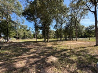 25044 S Leitrim St Street Property Photo 12