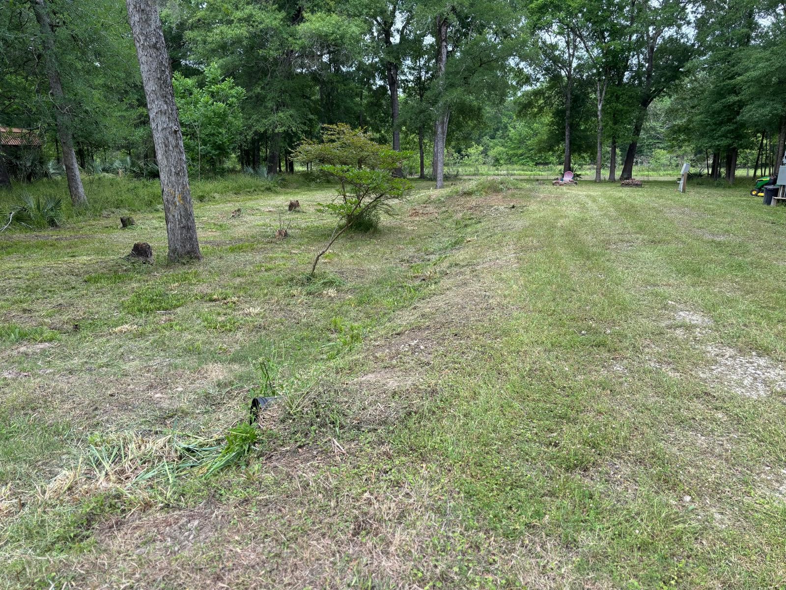 503 Sour Lake Circle Property Photo 6