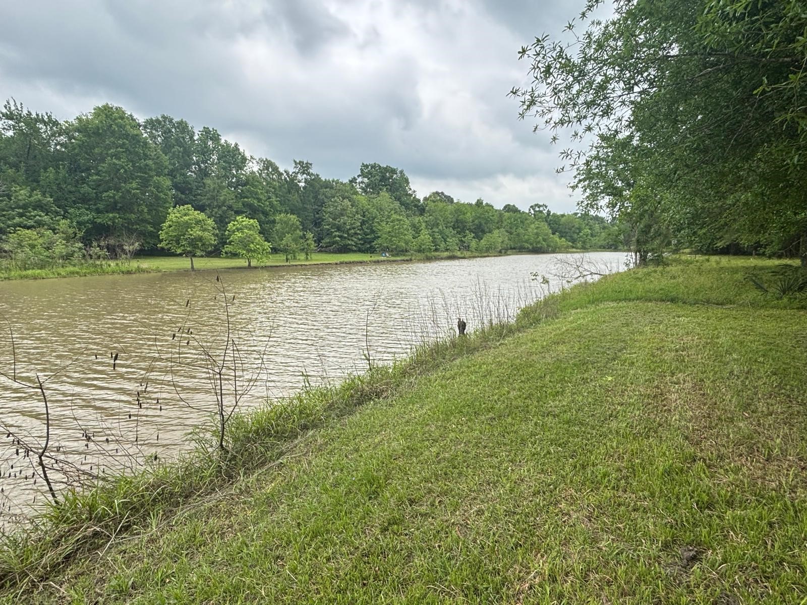 503 Sour Lake Circle Property Photo 7
