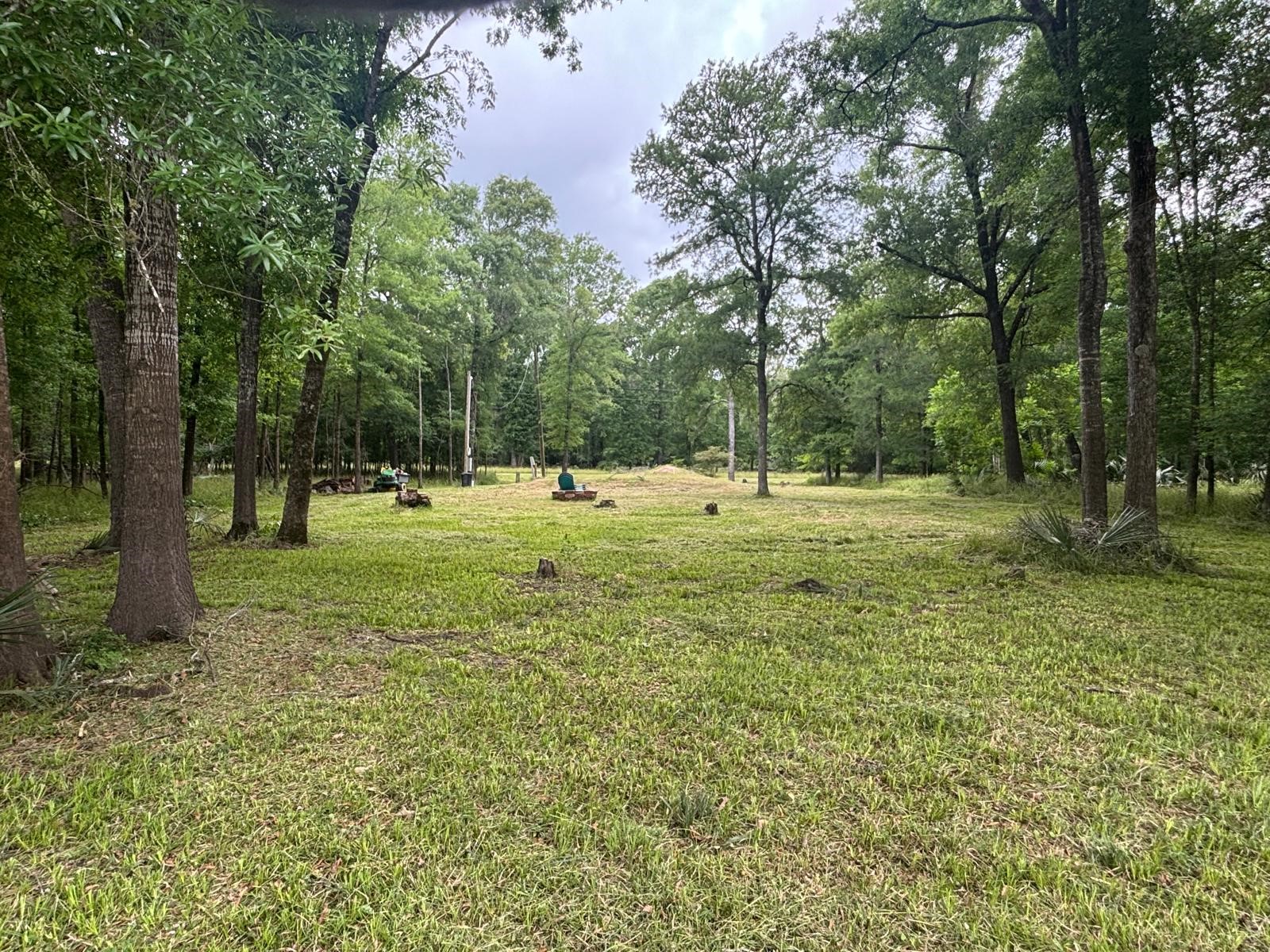 503 Sour Lake Circle Property Photo 8