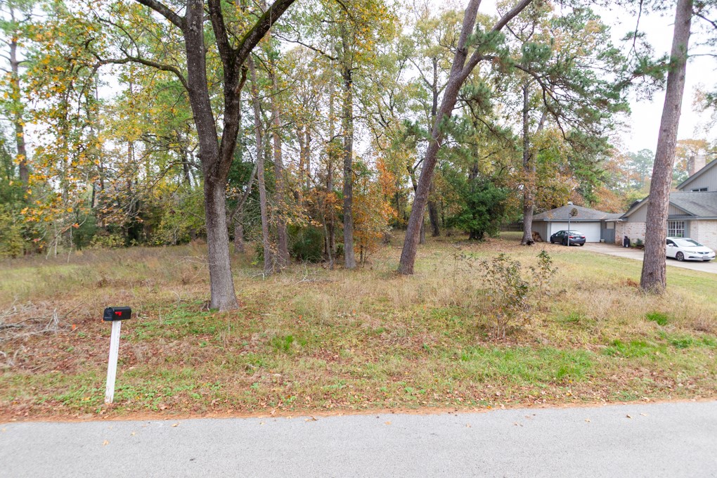24510 Pine Canyon Dr Property Photo 2