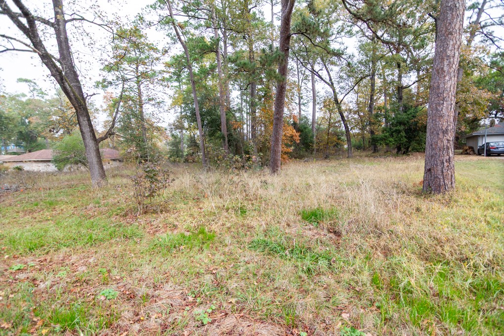 24510 Pine Canyon Dr Property Photo 5