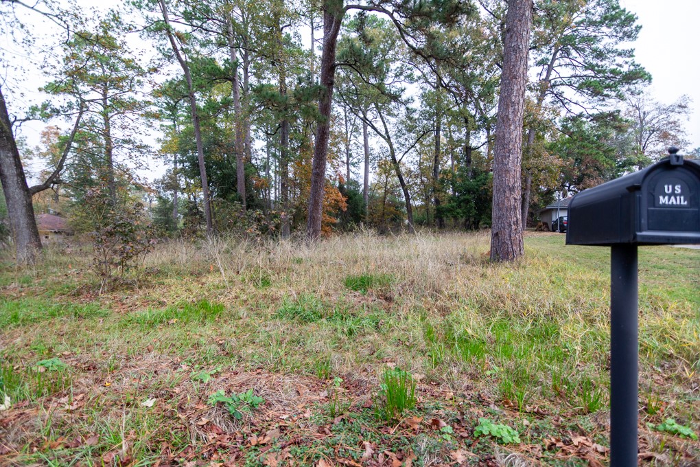 24510 Pine Canyon Dr Property Photo 6