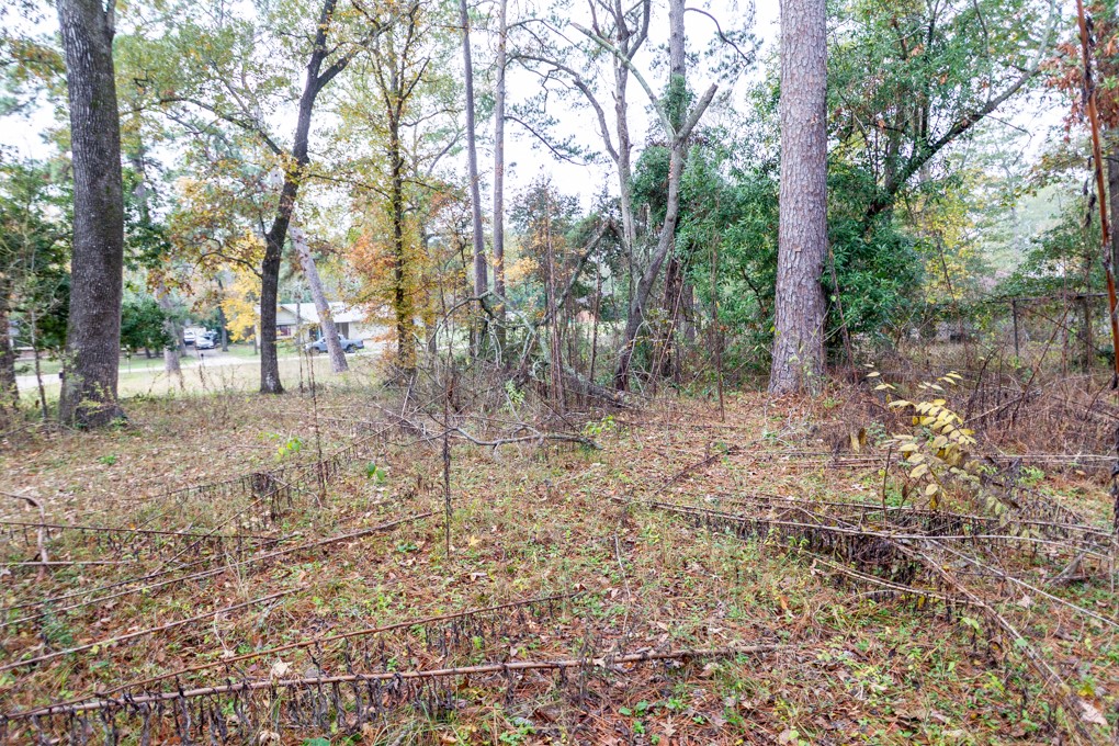 24510 Pine Canyon Dr Property Photo 7