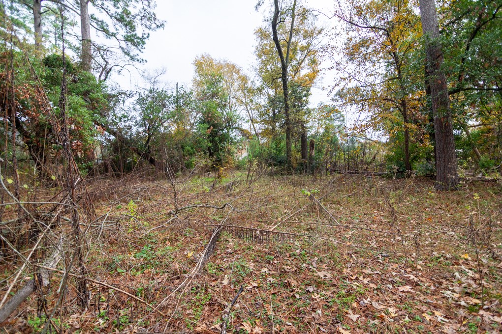 24510 Pine Canyon Dr Property Photo 8