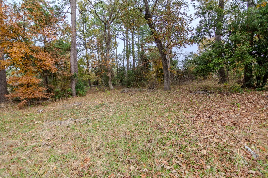 24510 Pine Canyon Dr Property Photo 9