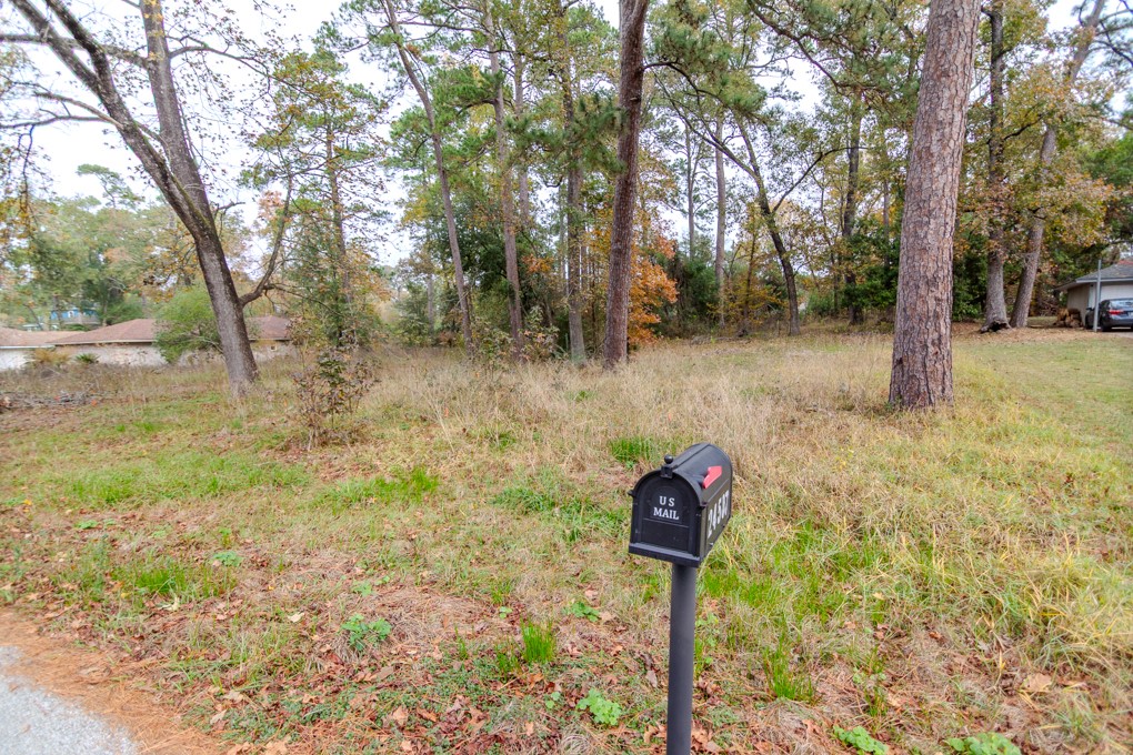 24510 Pine Canyon Dr Property Photo 10