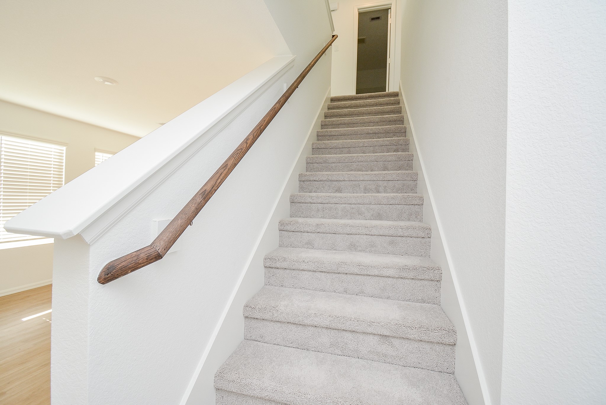 26811 Urraca Dr Property Photo 13