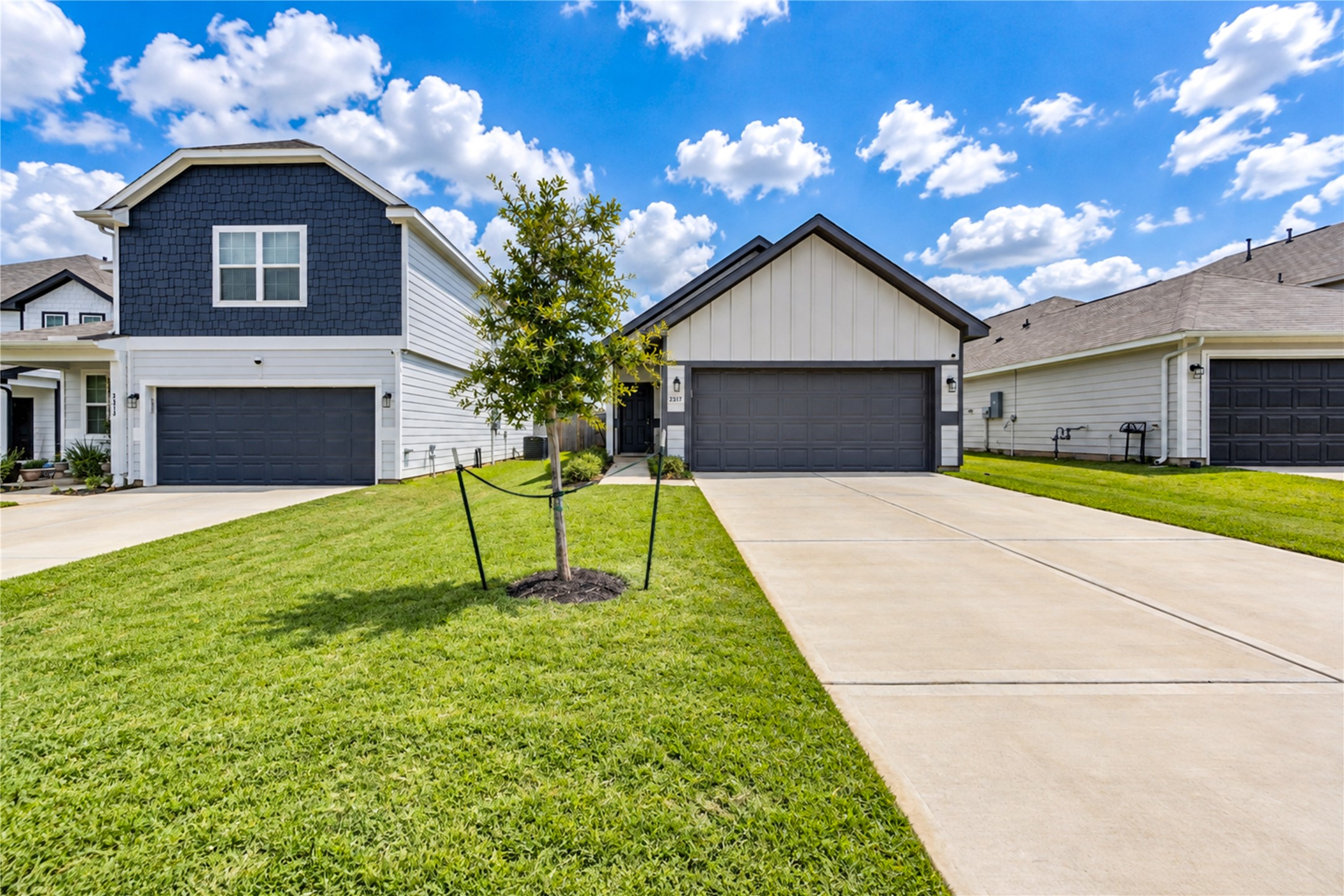 2317 Green Sturgeon Court Property Photo 2