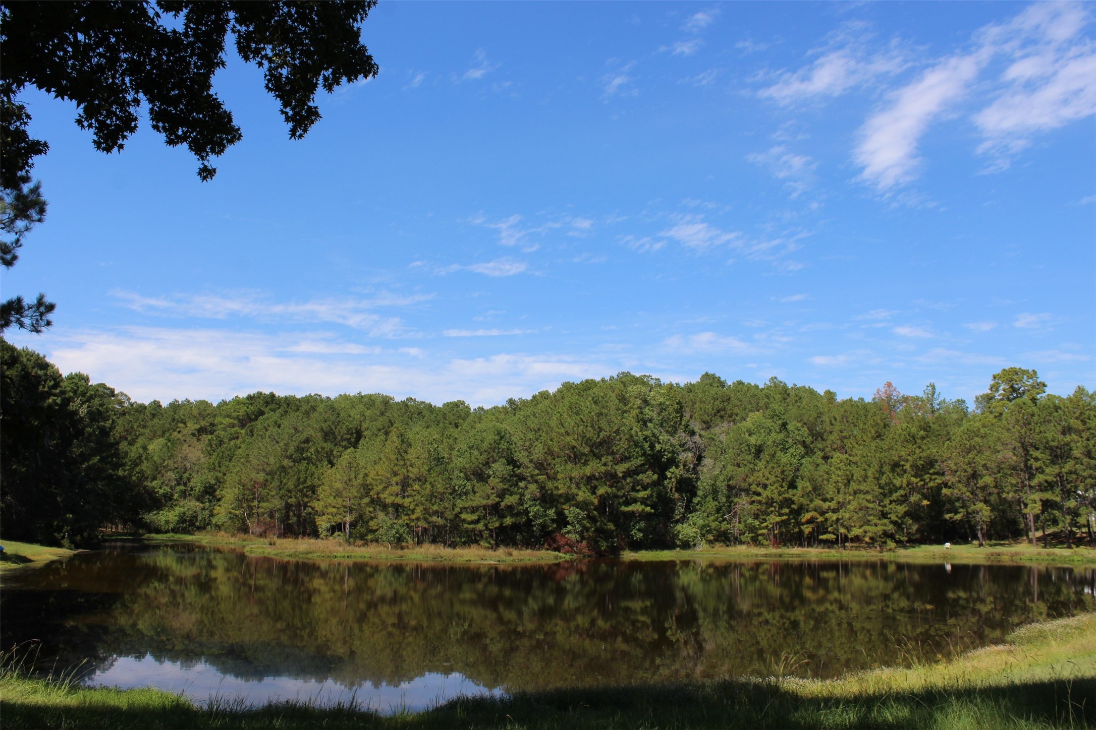 Tbd 0magnolia Property Photo 3