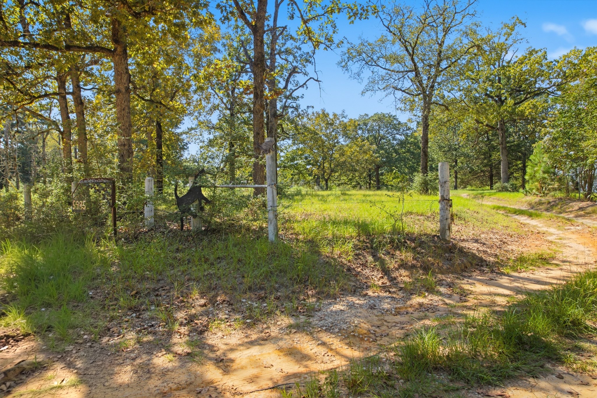 5995 Pr 2065 Property Photo 5