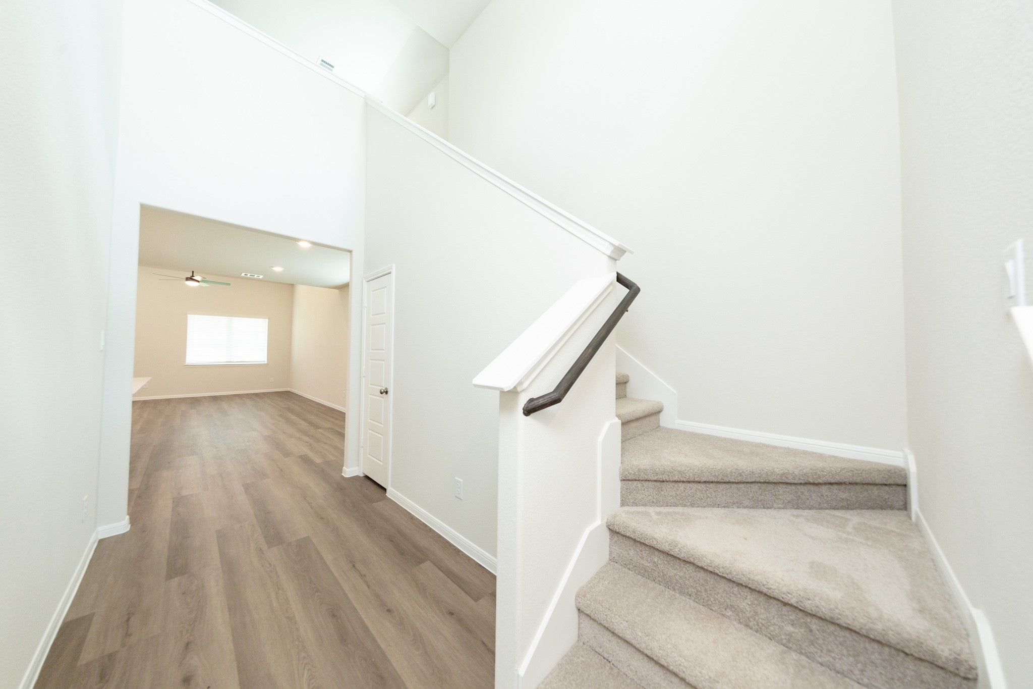 2356 Pipefish Drive Property Photo 3