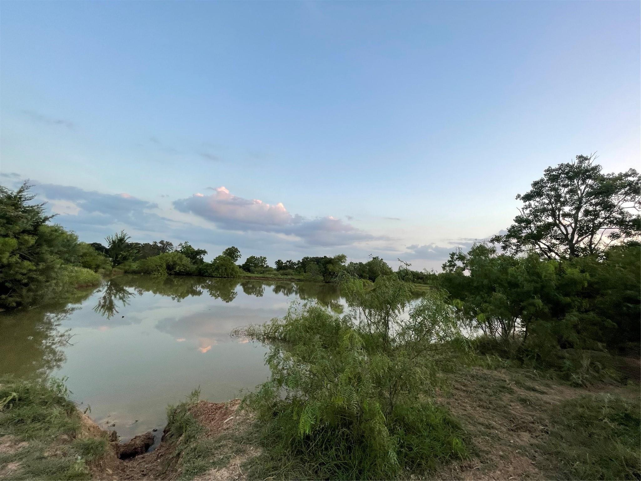 51359 Highway 290 Highway Property Photo 9