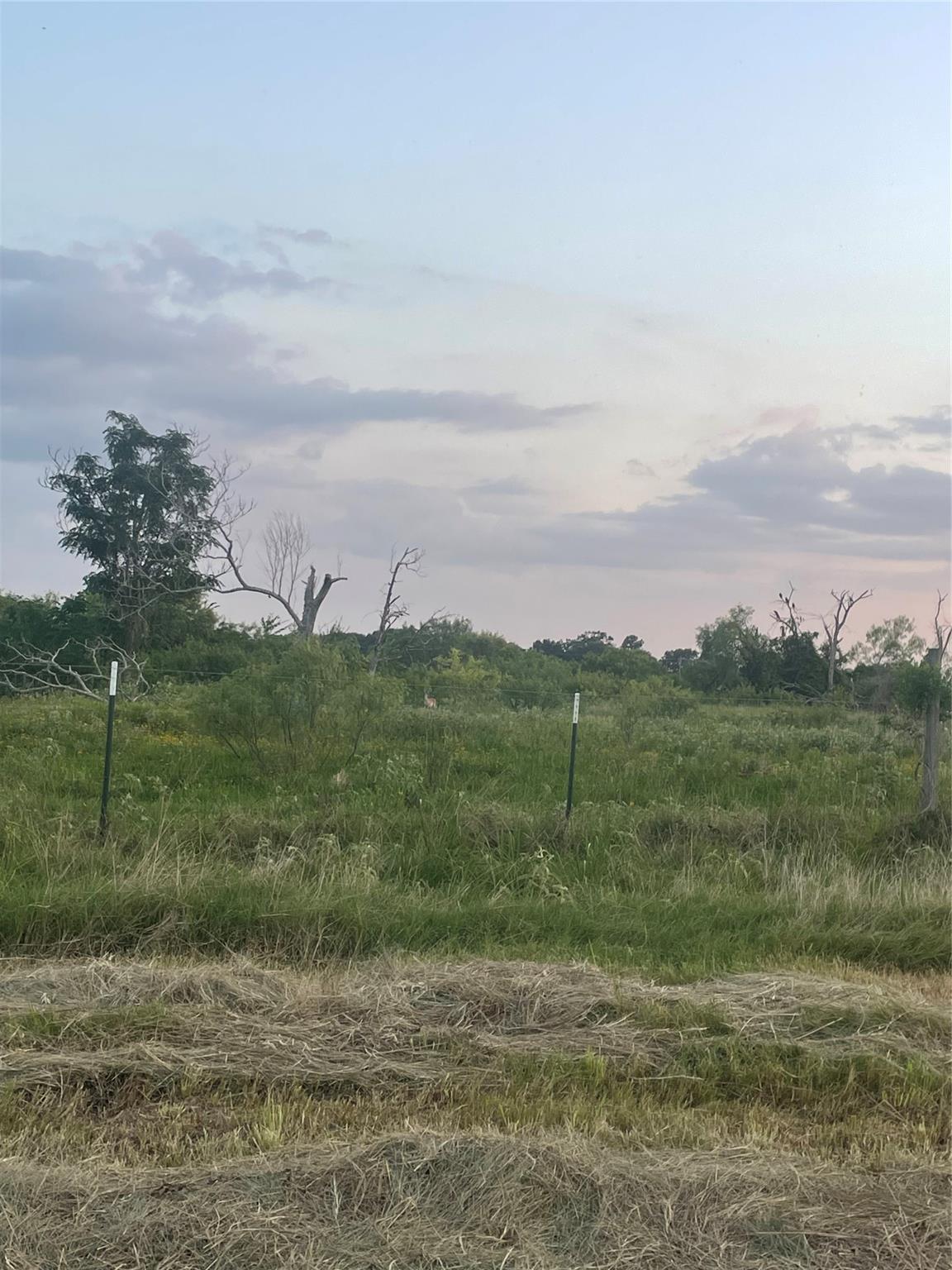 51359 Highway 290 Highway Property Photo 11