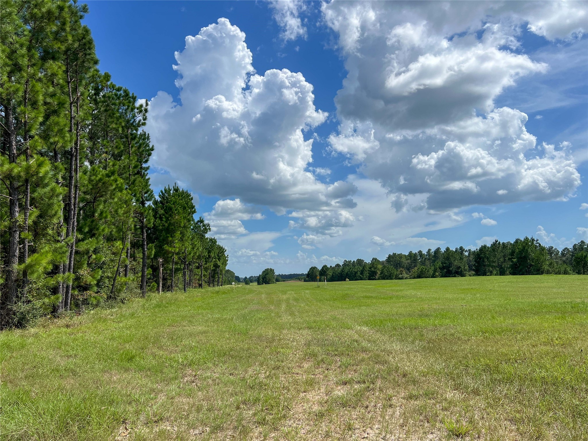 T-22a State Highway 94 Property Photo 1