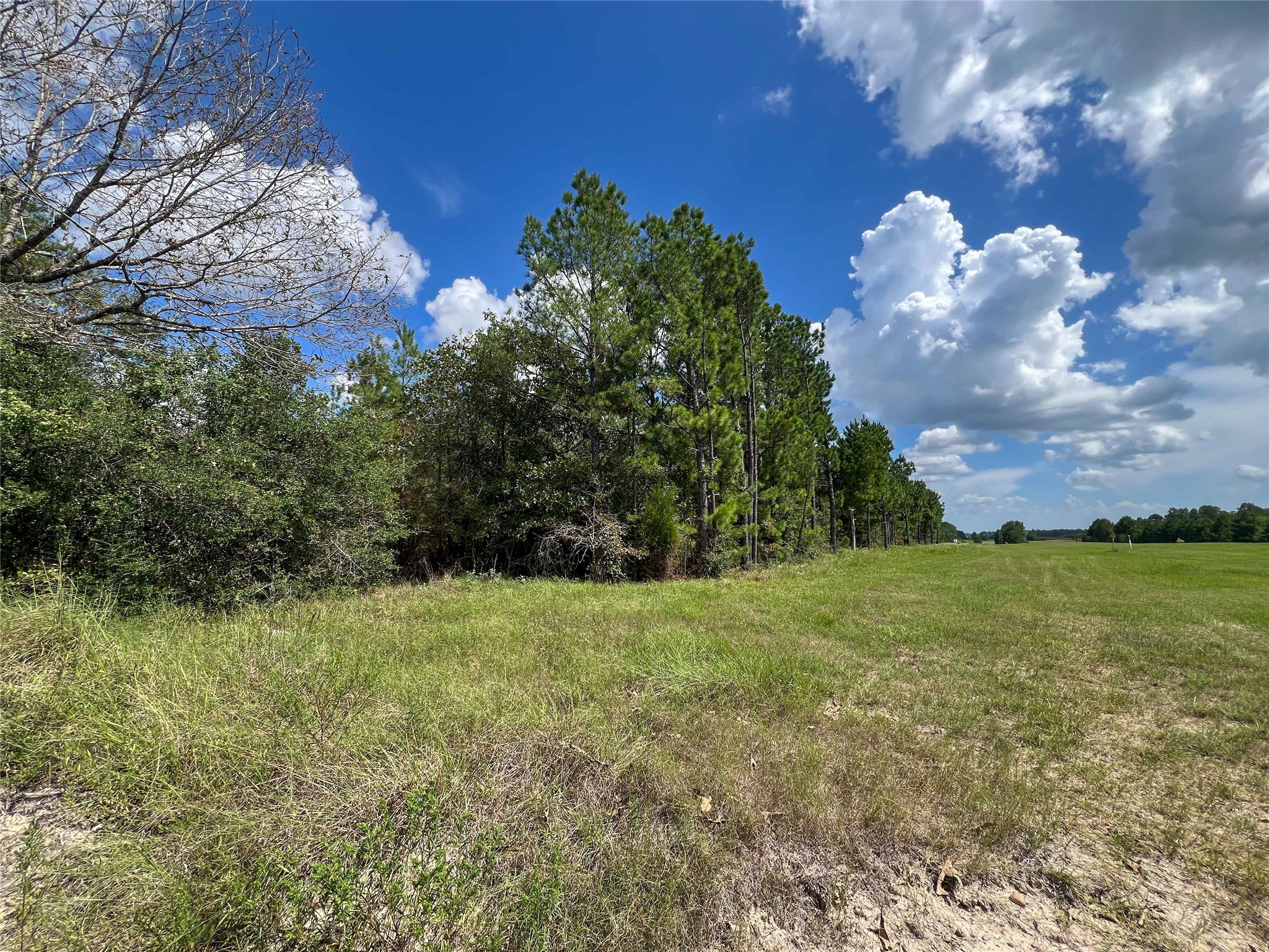 T-22a State Highway 94 Property Photo 2
