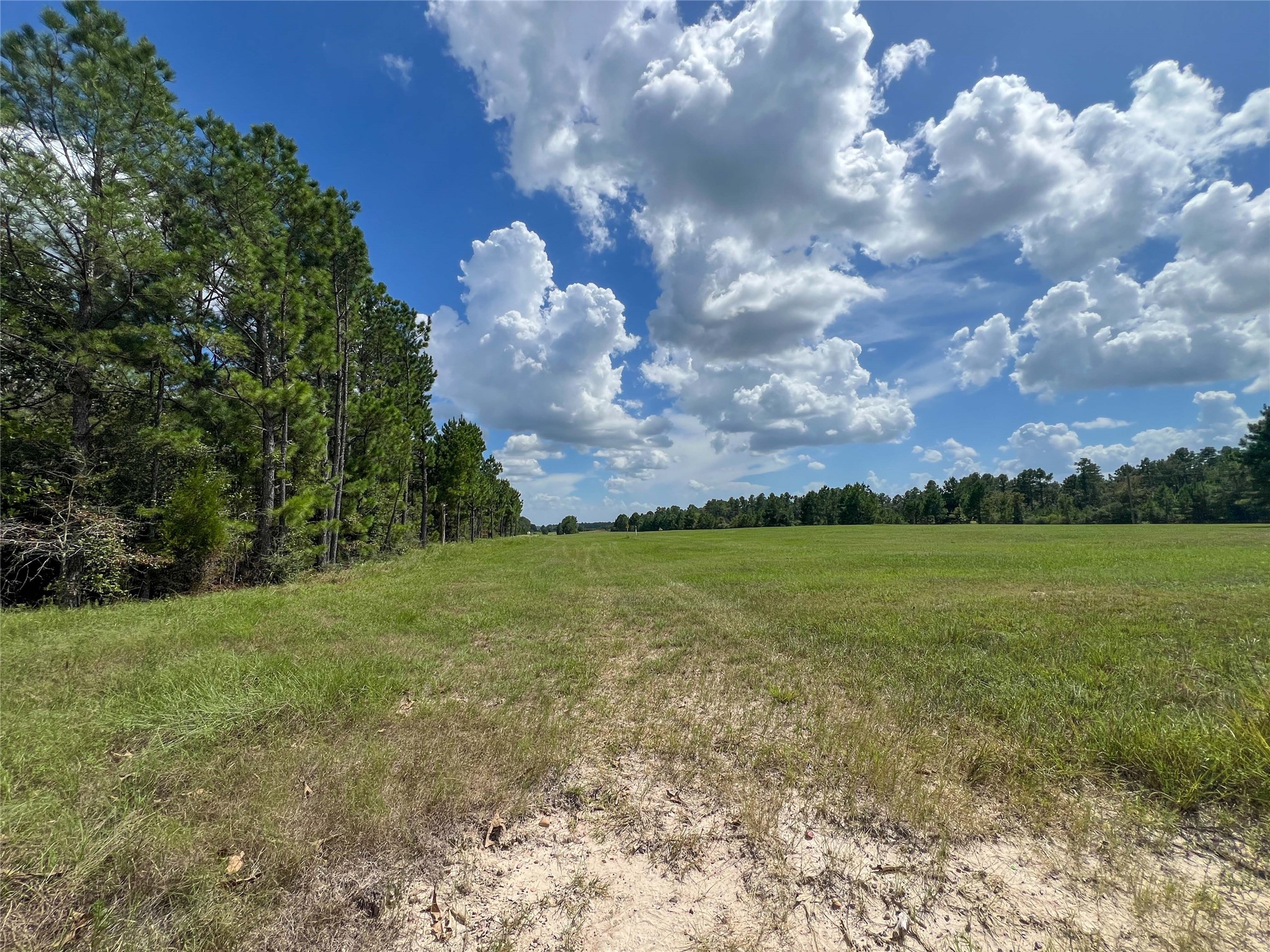 T-22a State Highway 94 Property Photo 3