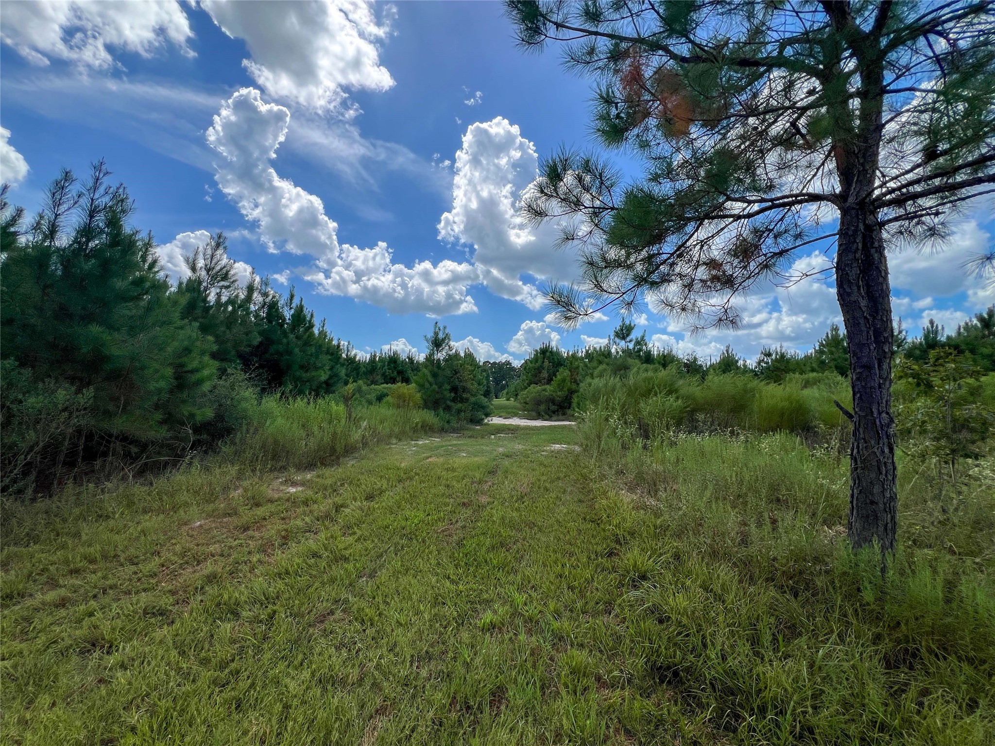 T-22a State Highway 94 Property Photo 4