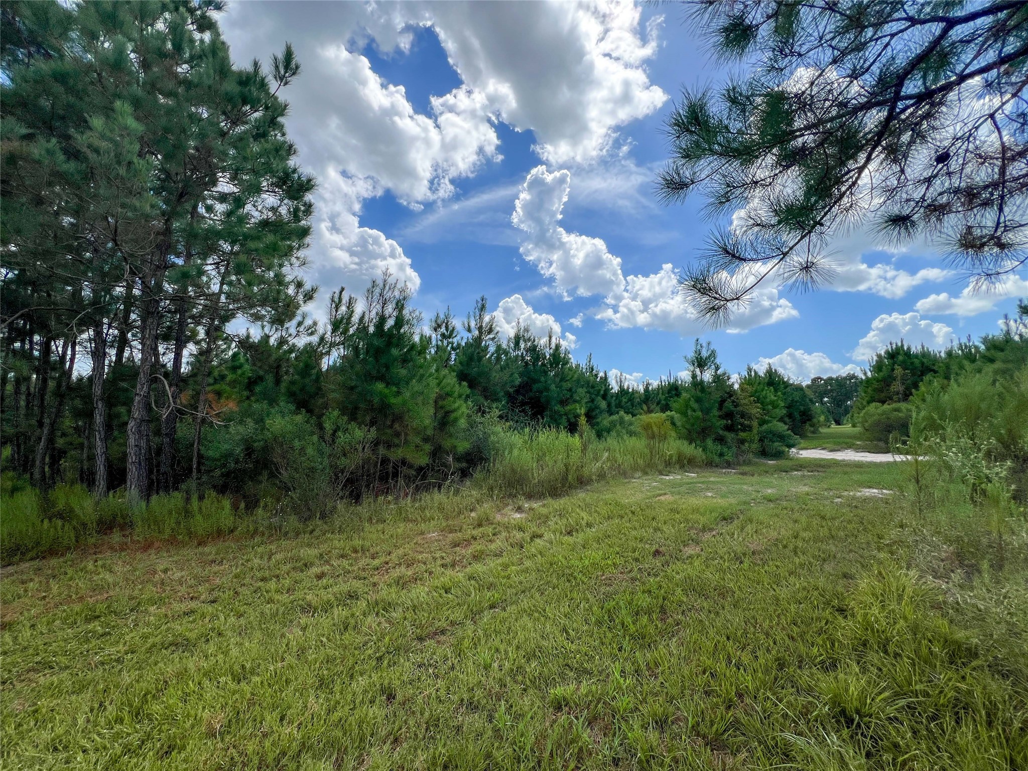 T-22a State Highway 94 Property Photo 5