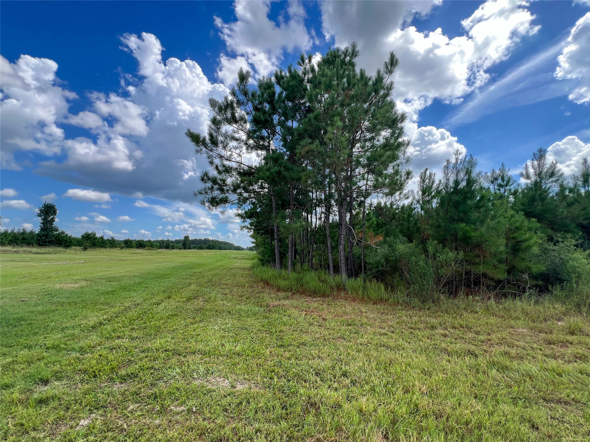 T-22a State Highway 94 Property Photo 6