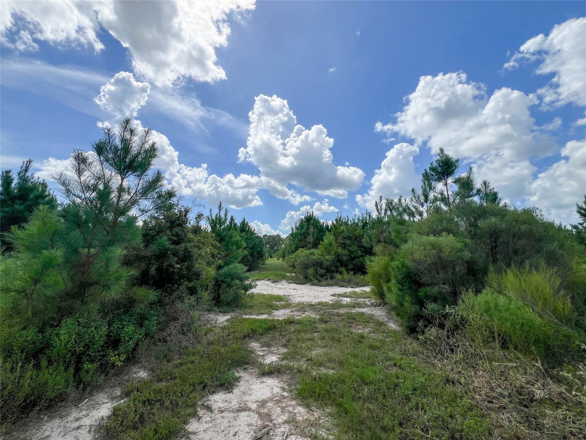 T-22a State Highway 94 Property Photo 7