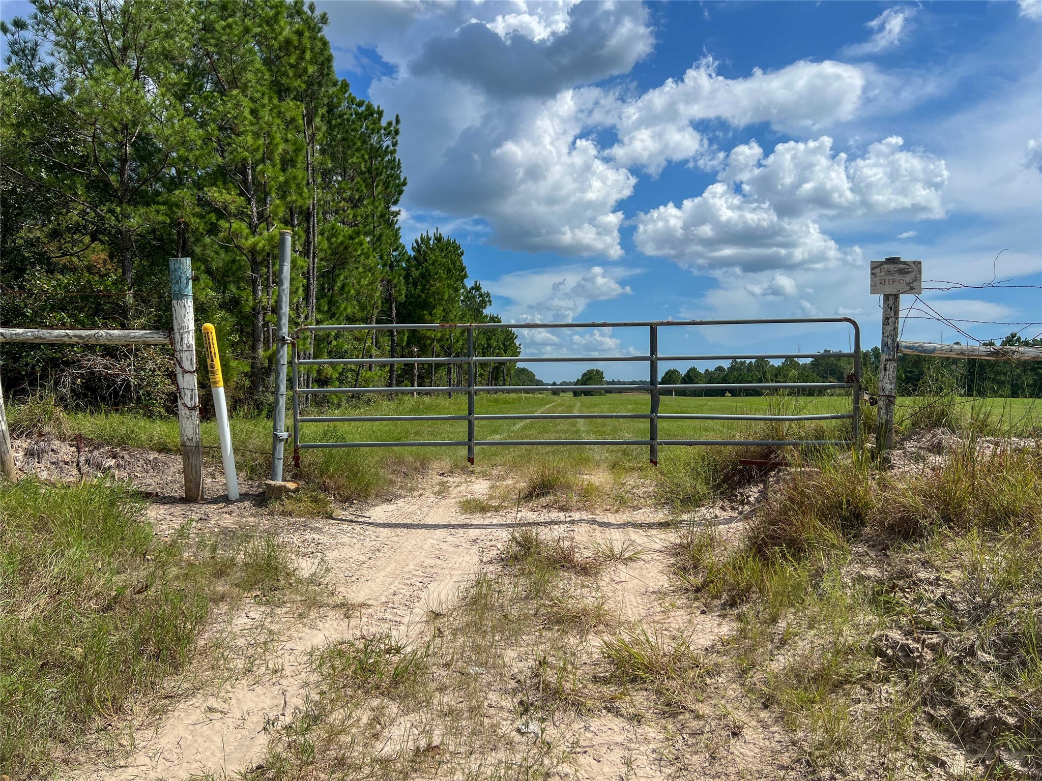 T-22a State Highway 94 Property Photo 9