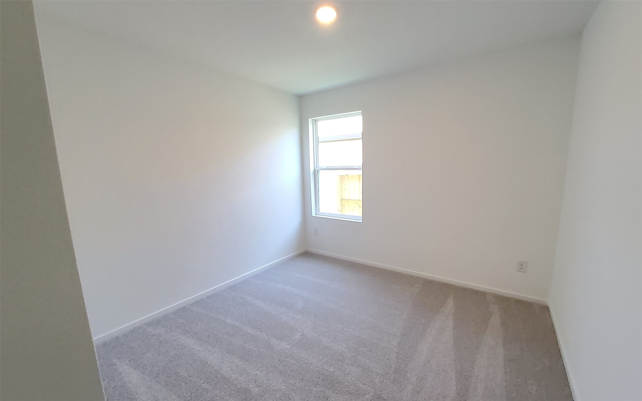 26810 Scarlet Willow Drive Property Photo 12