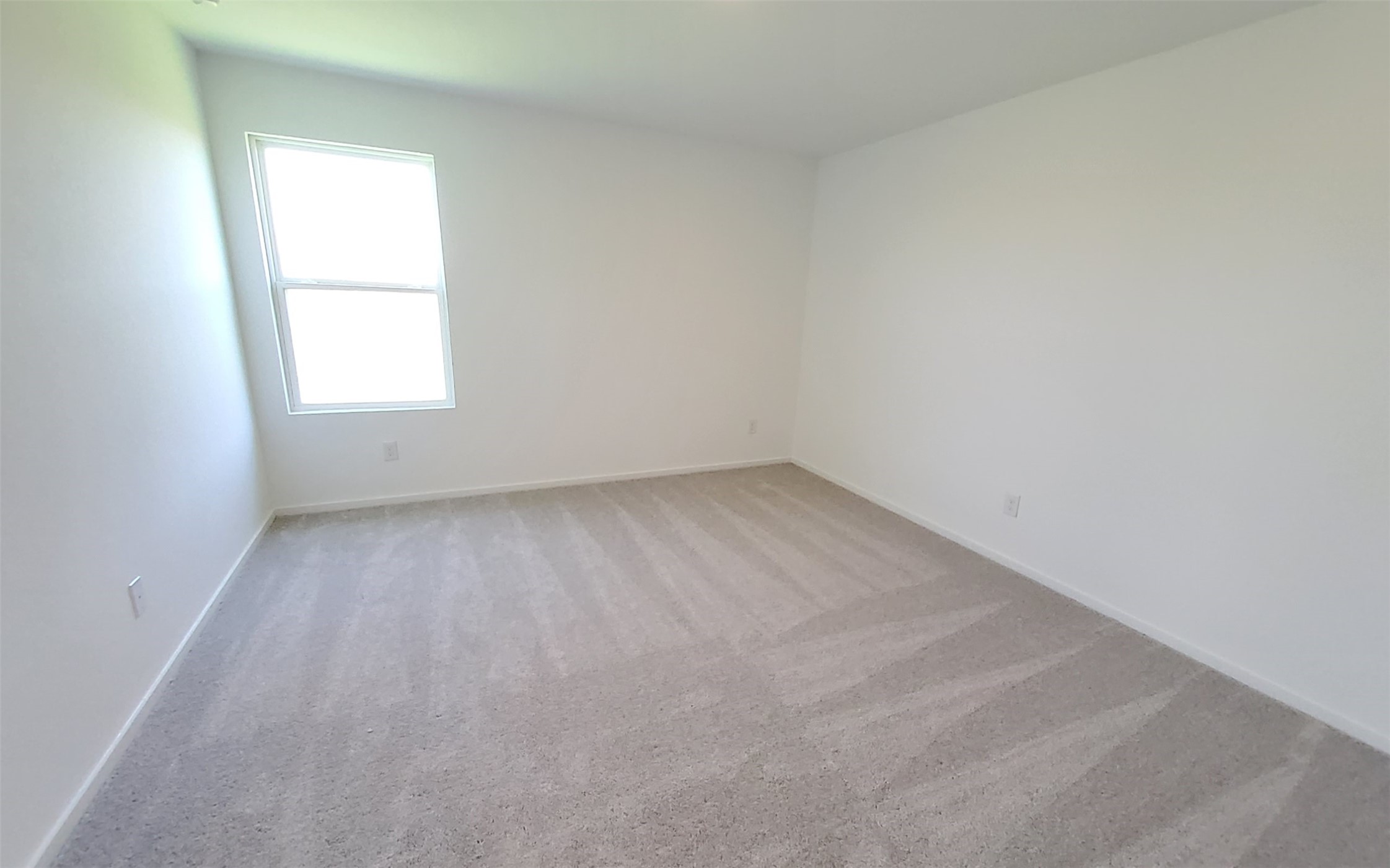26810 Scarlet Willow Drive Property Photo 18